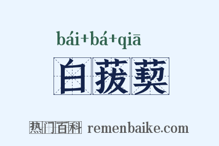 白菝葜是什么意思的图片